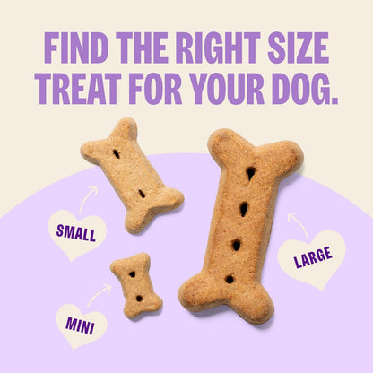 by Wellness Classic P-Nuttier Value Box Natural Dog Treats, Crunchy Oven-Baked Biscuits, Ideal for Training, Large Size, 6 Pound Box