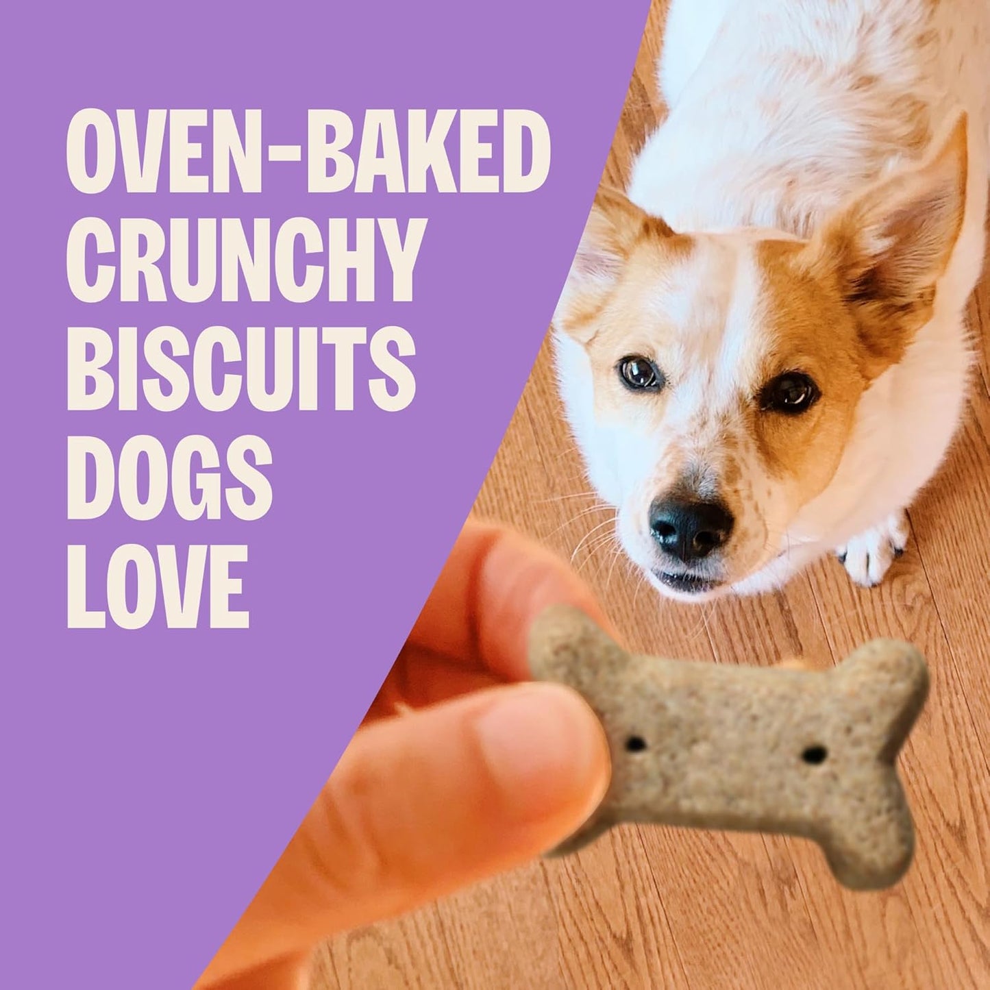 by Wellness Classic P-Nuttier Value Box Natural Dog Treats, Crunchy Oven-Baked Biscuits, Ideal for Training, Large Size, 6 Pound Box