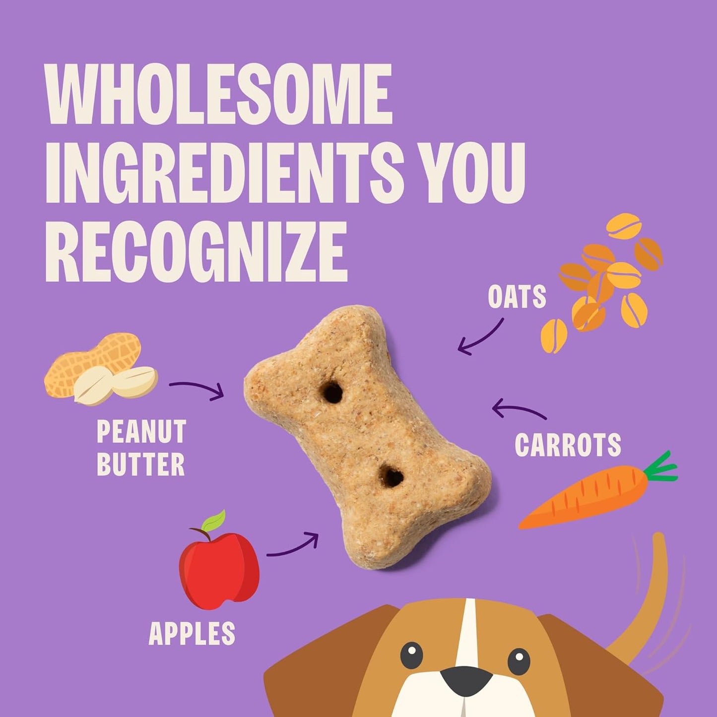 by Wellness Classic P-Nuttier Value Box Natural Dog Treats, Crunchy Oven-Baked Biscuits, Ideal for Training, Large Size, 6 Pound Box