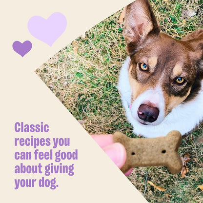 by Wellness Classic P-Nuttier Value Box Natural Dog Treats, Crunchy Oven-Baked Biscuits, Ideal for Training, Large Size, 6 Pound Box